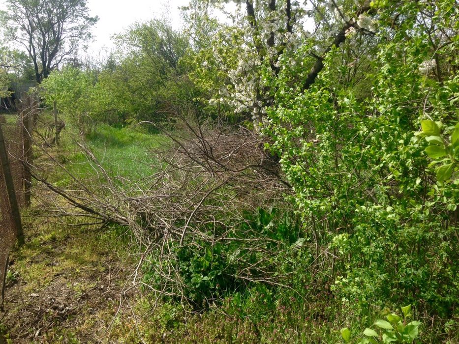 Дворно място гр.Шумен с.Панайот Волов на главен пат