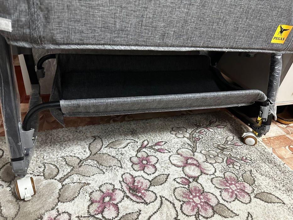 Көп ұсталмаған ноябырда алынған