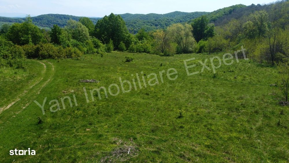 Teren 19.452 mp de vânzare în Curtea de Argeș.