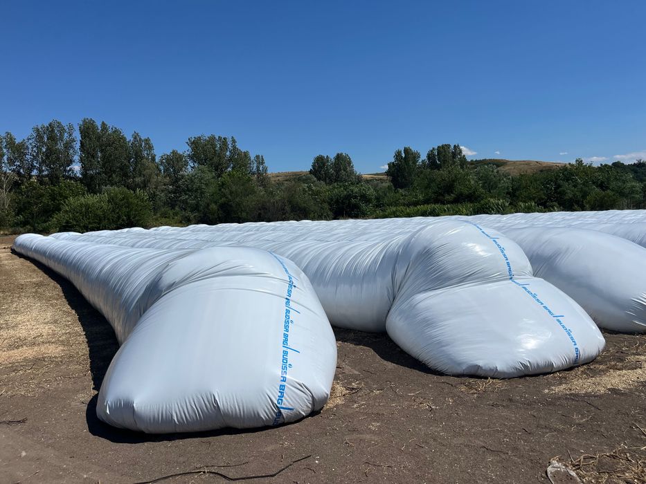 Царевичен силаж 200лв/тон