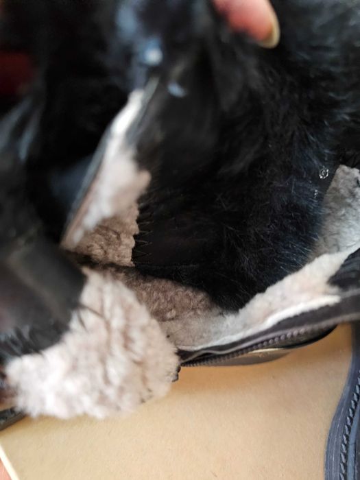 Полуботнки женские