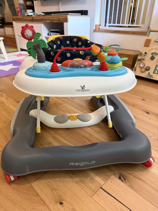 Мултифункционална проходилка 4 в 1 CANGARO