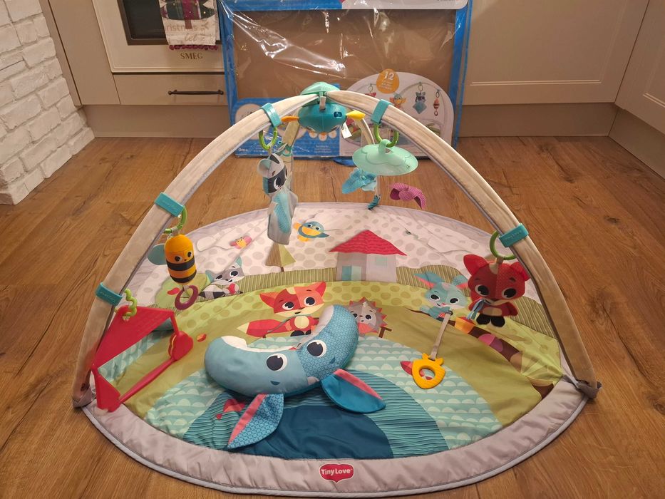 Активна гимнастика TINY LOVE Meadow Days DYNAMIC GYMINI