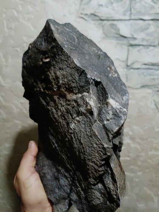 Аквариумные плитняки