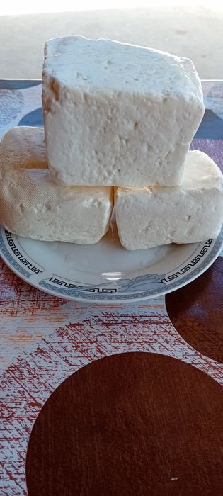 Branza de capra en-gros