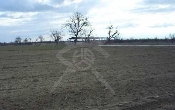 Продава се Парцел в с. Калояново, Област Пловдив - 5500 кв.м за 6 €/кв.м - Снимка #2