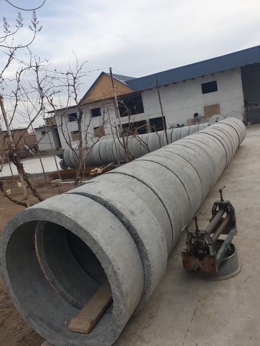 Kolsa kalodis krishka