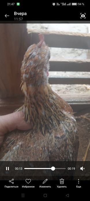 8000 тенге карлик