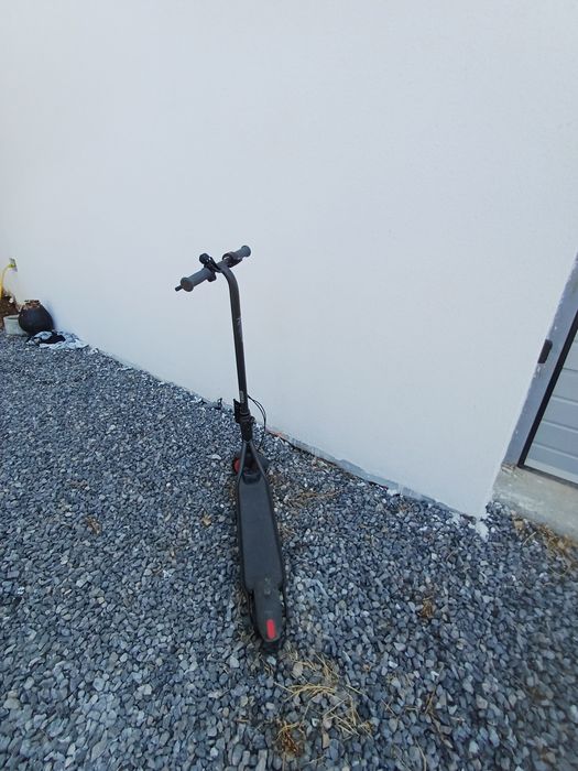 Ninebot e KickScooterZING C 20