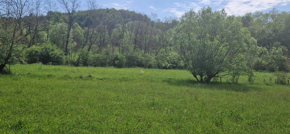 Vand teren intravilan pretabil constructie locuinta/cabana Brad-HD