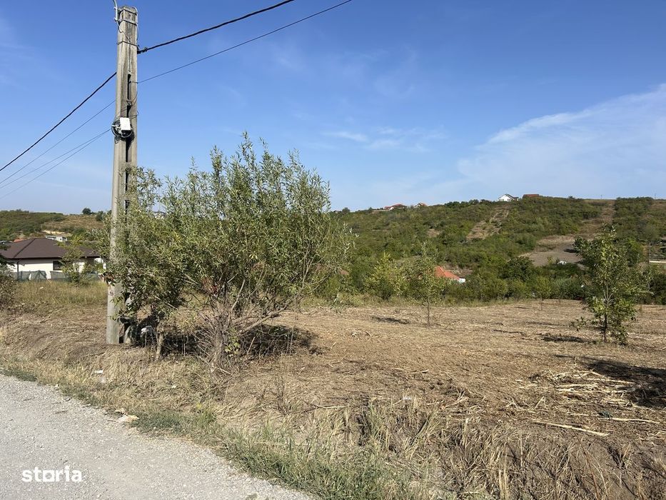 Teren intravilan  ,str Livezilor , 3280 mp