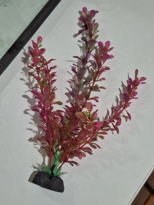 срочно продам аквариум для рыб