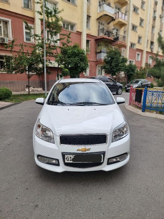 2022 yil oq tozza gazli