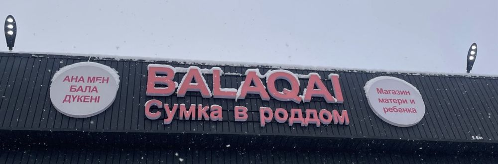 Готовый бизнес сумка в роддом