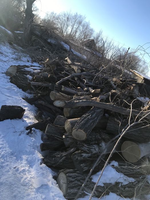 Продам дрова карагач