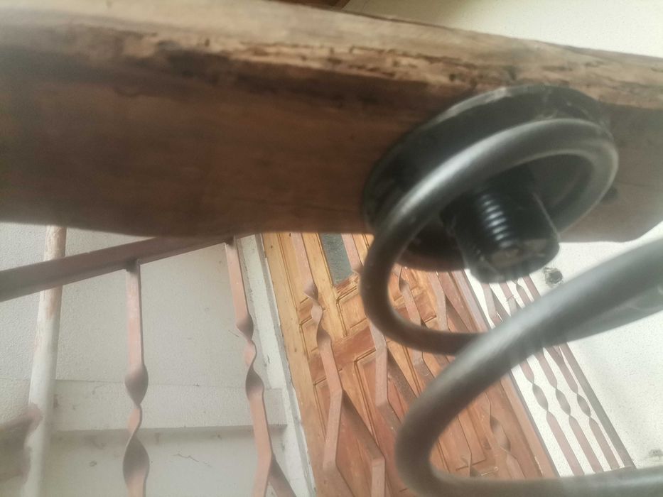 Декоративен лампеон