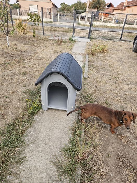 Vând cușcă câine
