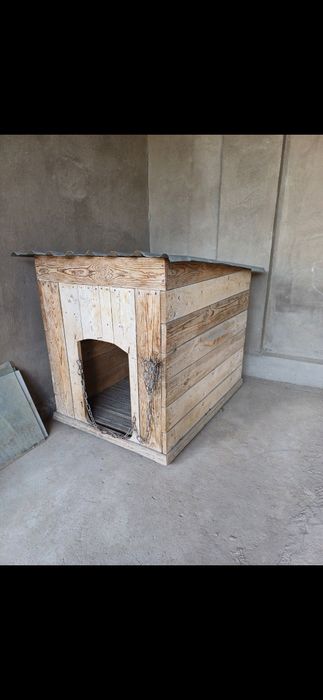 Katta kuchuklar uchun in