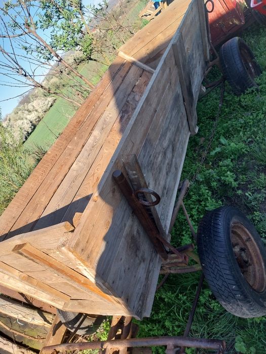 Vând sau schimb cu ponei