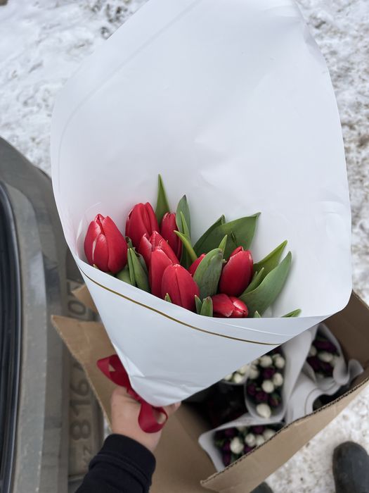 Тюльпаны на 14 февраля и 8 марта