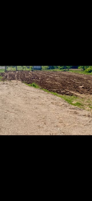 Vand 1000mp langa  padurea Ordoreanu