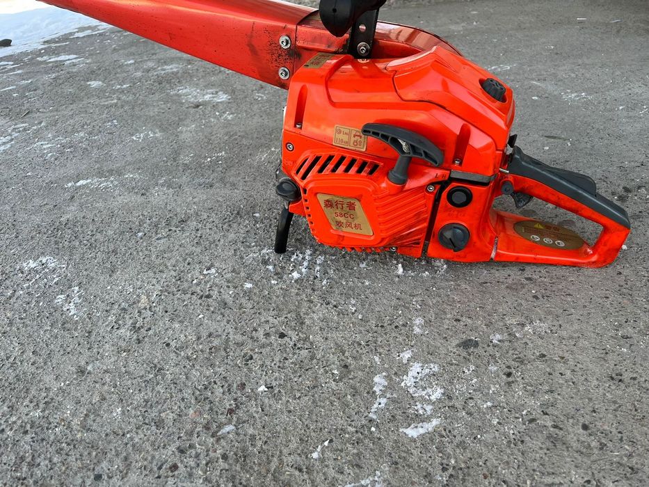 Моржа тазалаимын шистит туруба