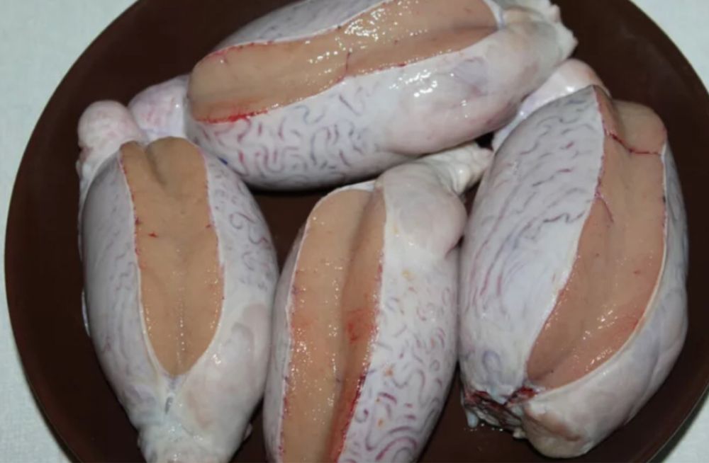 Корм мясо для собак Бычьи семенники / яйца