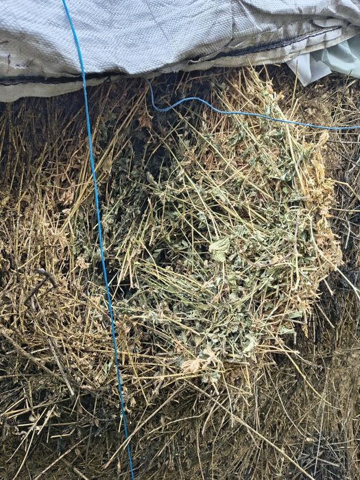 Baloți rotunzi de lucernă