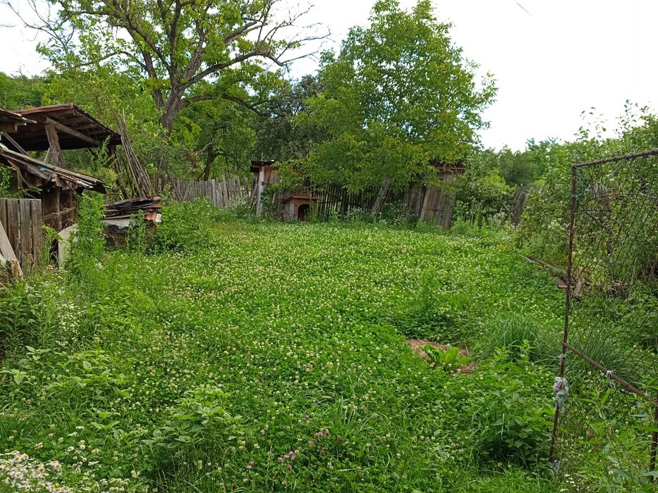 Casa de vânzare ..
