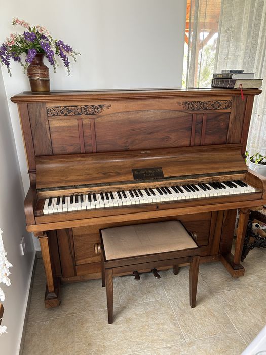 Pianina Bernard Brock