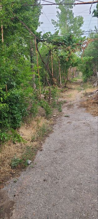 DACHA sotiladi suv Elektor bor