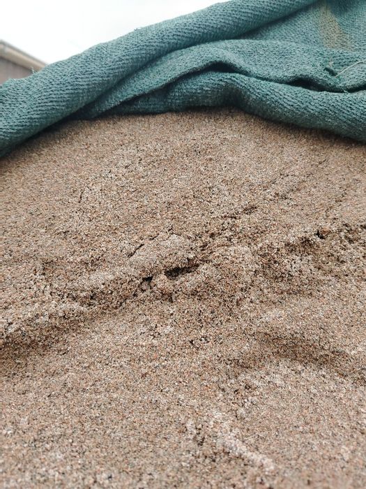 Чиноз кум Чиназ песок