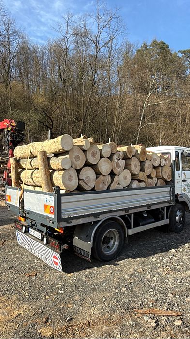 Lemne de foc esenta tare