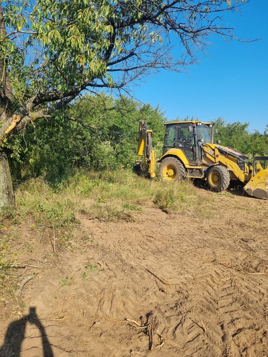 Defrișări/curățare terenuri
