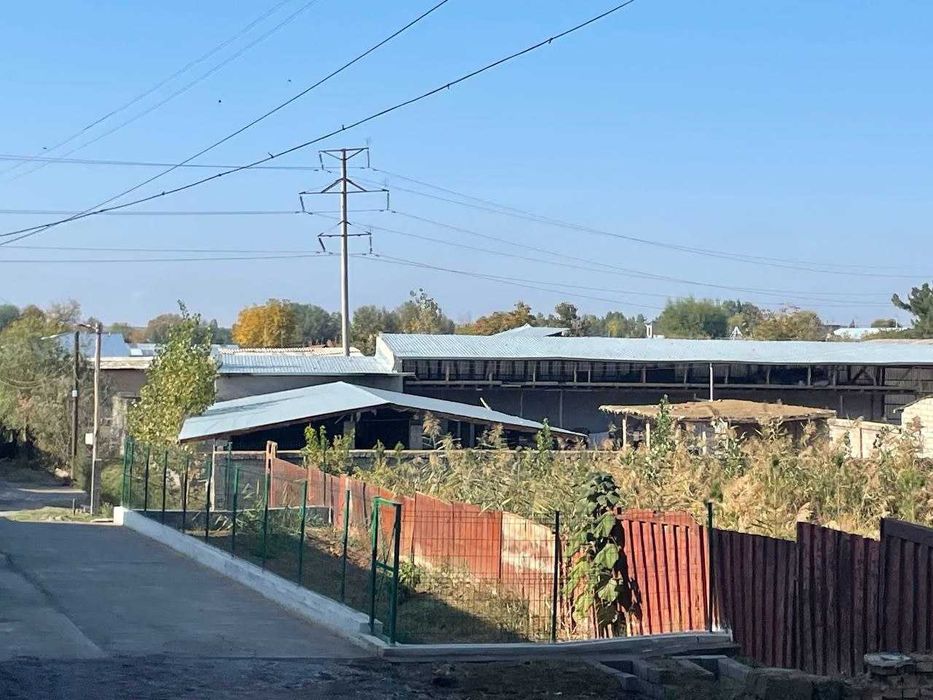 textil dachniyda ferma