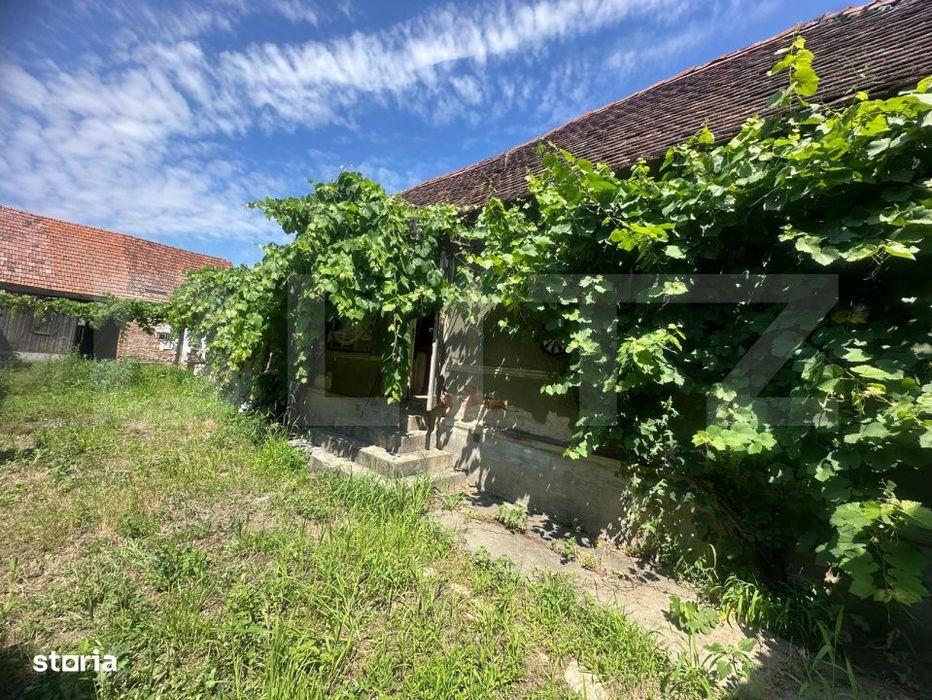 Casa de renovat 100 mp, 200 mp teren, zona Vinerea - Cugir