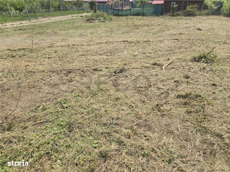 RECO Teren Saldabagiu de Munte, Aviz de oportunitate