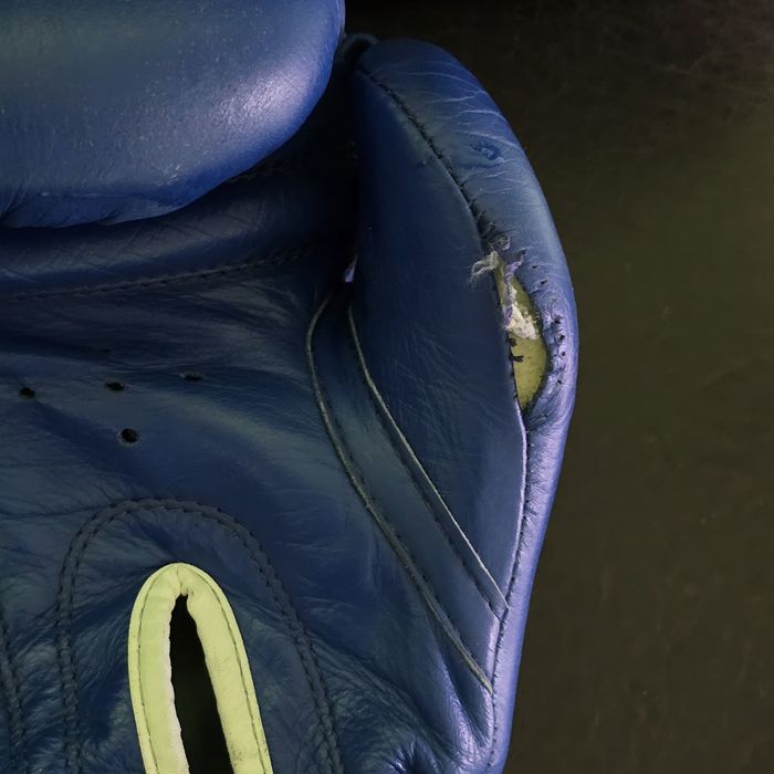 Боксови ръкавици Green hill 10oz