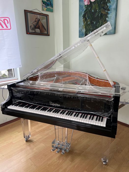 Роял Colmann G153 (С.Bechstein collaboration), автоматично свирене