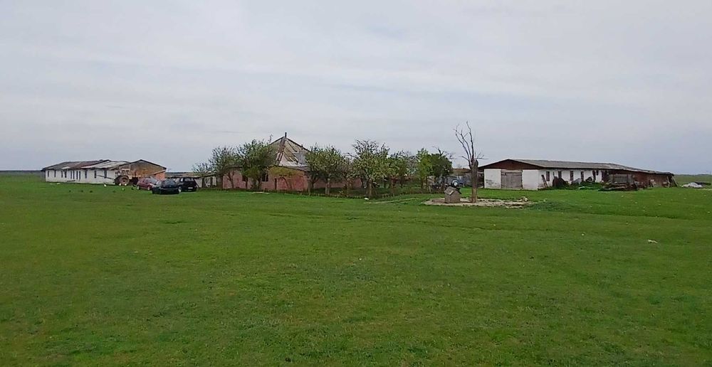 Ferma agricola Salonta