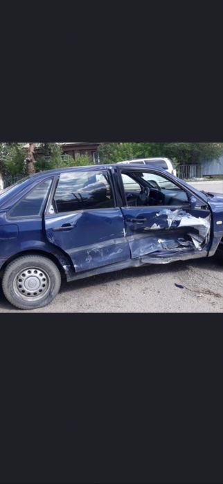 Костоправ маляр