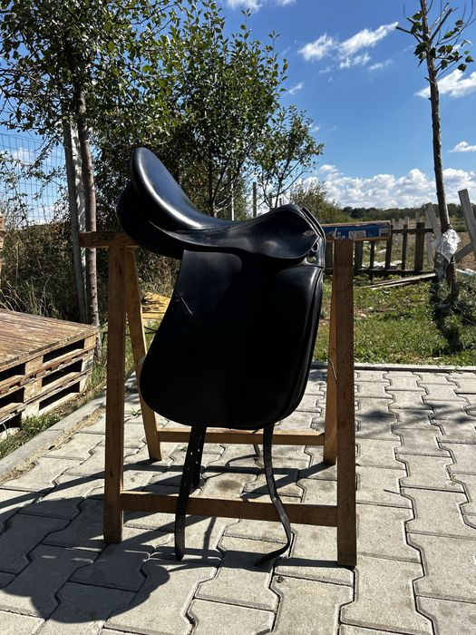 Sa dresaj Prestige Appaloosa