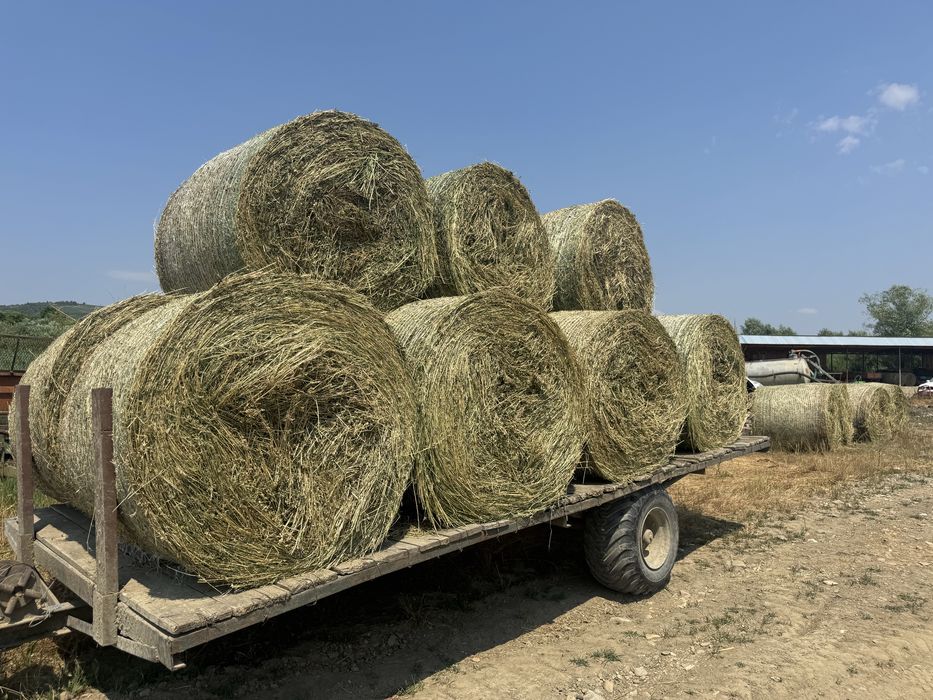 Baloti lucerna coasa 3