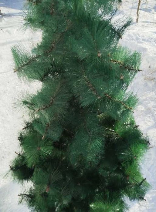 Елка искусственная 210см