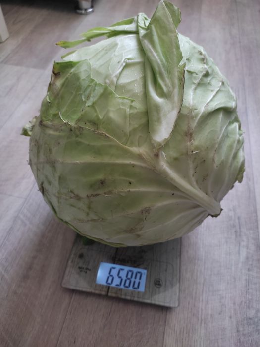 Продаю дачу в Михайловке, 12 соток