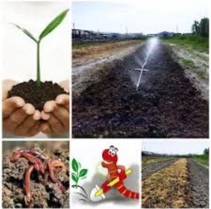 Биогомус Сотамиз Оптом ва Арзон Нархда