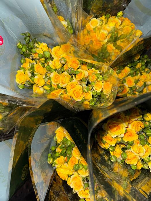 Кустовые розы 

430.000 / пачка
