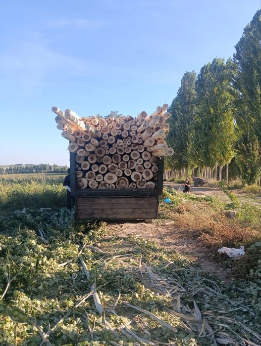Terak olamiz va sotamiz kelishilgan narxlarda