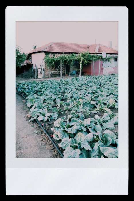 Къща с двор в ген. Изнзово