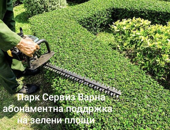 Професионална грижа за вашата градина.Косене,чистене, рязане на опасни